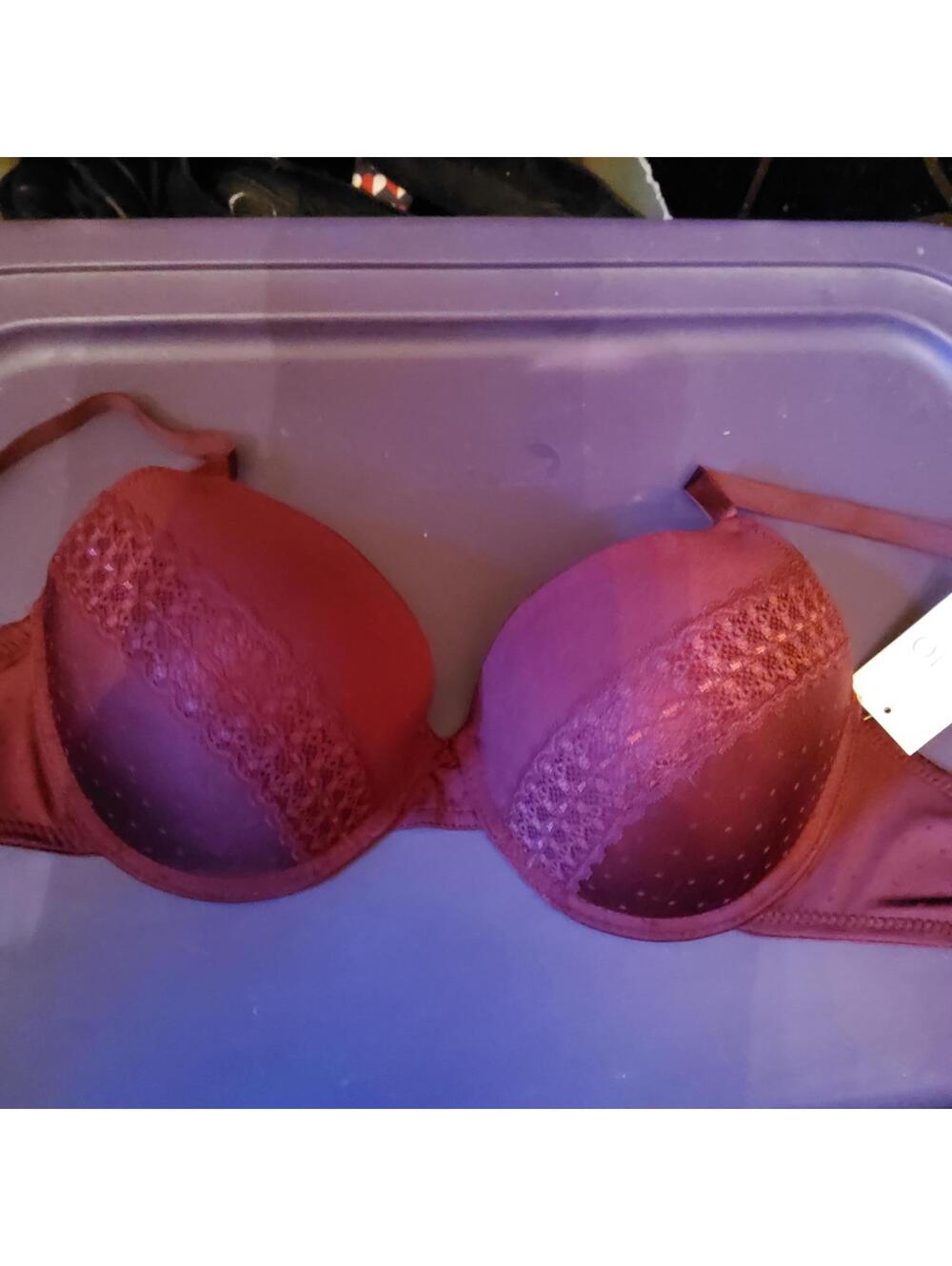 New 38C Servitore Bra underwire